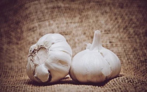 All About the Properties and Benefits of Garlic: A Comprehensive Review