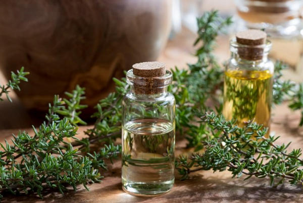 The Comprehensive Guide to the Properties and Benefits of Thyme