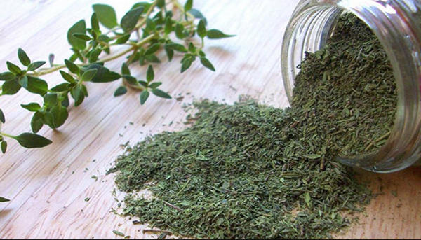 The Comprehensive Guide to the Properties and Benefits of Thyme