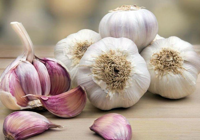 All About the Properties and Benefits of Garlic: A Comprehensive Review