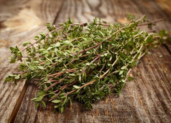 The Comprehensive Guide to the Properties and Benefits of Thyme