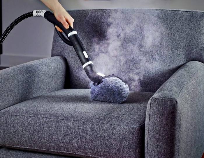 how to clean fabric sofa naturally