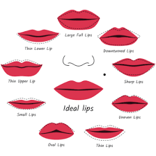 how to apply lipstick perfectly