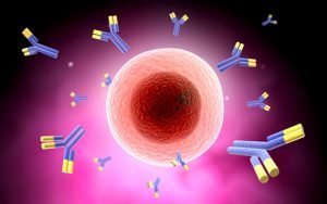 Thalassemia; Evaluation of symptoms, causes, and treatment methods