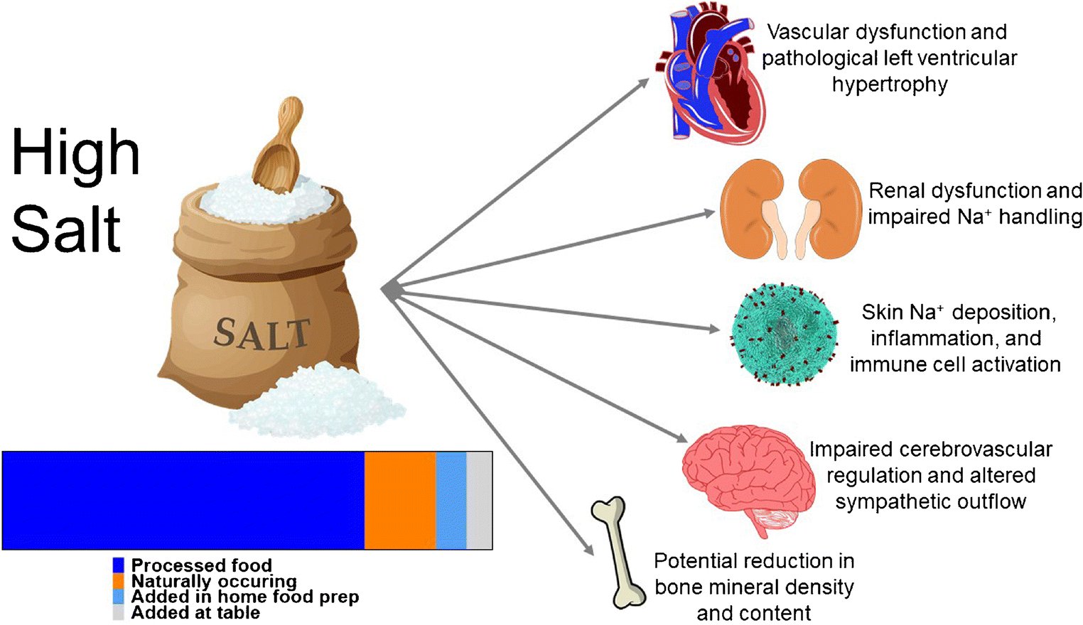 Hypertension: Symptoms, prevention, and treatment - GreenBHL