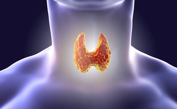 17 natural remedies for hypothyroidism