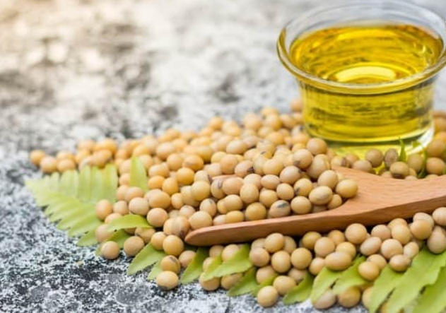 Analyse complète des propriétés et des avantages de l'huile de soja