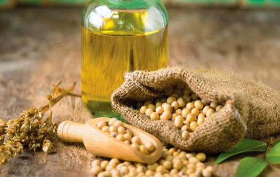 Analisi completa delle proprietà e dei benefici dell'olio di semi di soia
