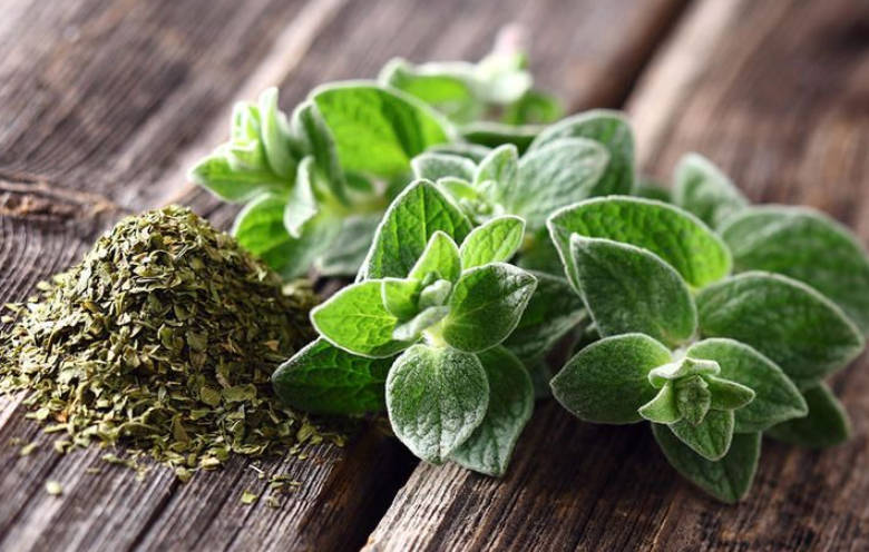 Herb used for flu and infections
