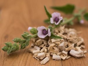 Herbal treatment of purulent sore throat at home