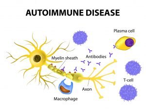 Autoimmune diseases; Causes, symptoms, types, and methods of treatment