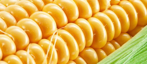 Properties of corn: from improving hair growth to preventing cancer