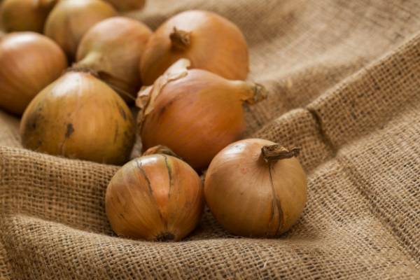 Effects of onions against colds