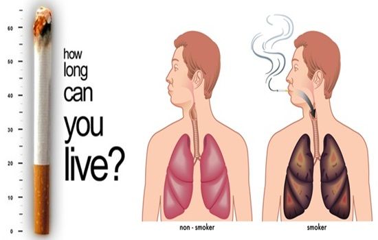 Terrible Effects Of Smoking On Every Organ Of The Body Greenbhl