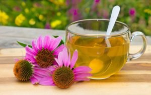 Herbal teas for dry coughs and sore throats