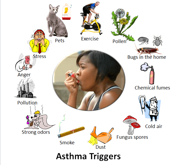 Analisi completa dell'asma: cause, diagnosi e strategie terapeutiche