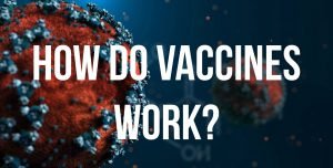 Everything you need to know about the vaccines