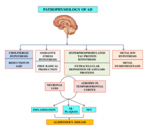 Alzheimer's disease - Everything about dementia and its symptoms