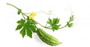 17 herbal remedies for plantar fasciitis