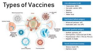 Everything you need to know about the vaccines