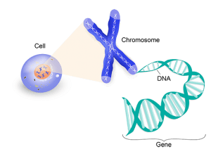 Alzheimer's disease - Everything about dementia and its symptoms