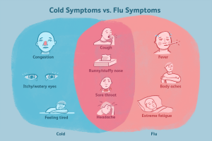 27 herbal remedies for treating and fighting colds