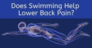 29 Herbal Remedies for Low Back Pain