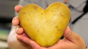 Do not throw away the potato peel for 27 reasons