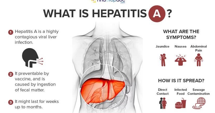 Hepatitis All About The Types Symptoms Treatment And Prevention Of Hepatitis Greenbhl 