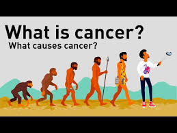 Cancer : Everything about cancer + video