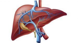 What is the best way to reduce fatty liver naturally?