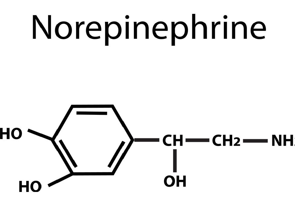 What is the hormone norepinephrine that is so important?