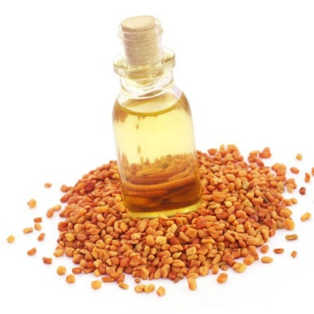 Familiarity with 38 properties and benefits of fenugreek seeds for body health