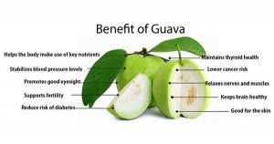 Learn about the benefits and properties of guava fruit