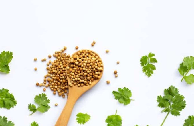 Review of the benefits and properties of parsley