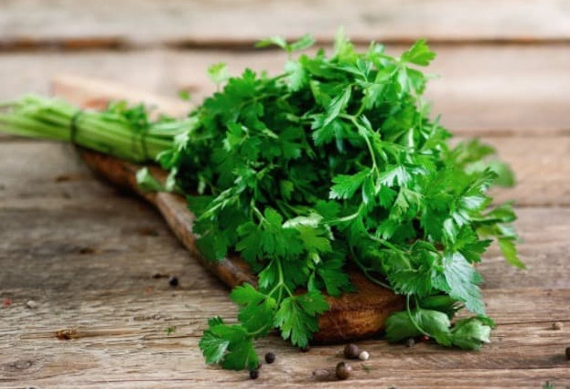 Review of the benefits and properties of parsley