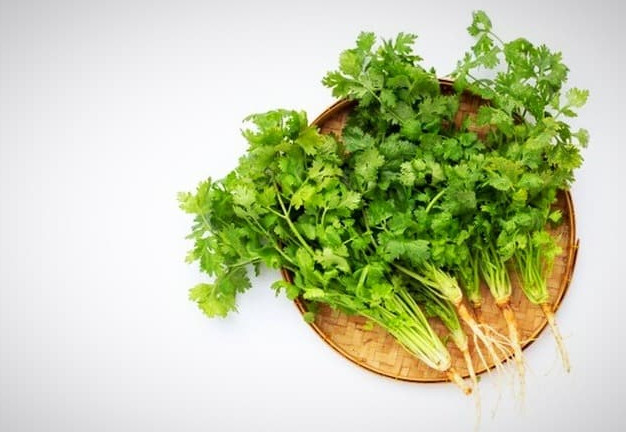 Review of the benefits and properties of parsley