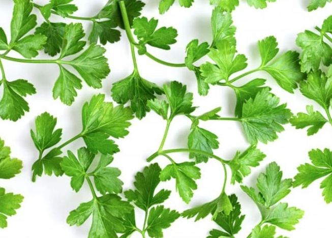 Review of the benefits and properties of parsley