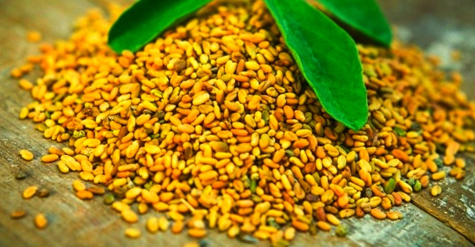 Familiarity with 38 properties and benefits of fenugreek seeds for body health