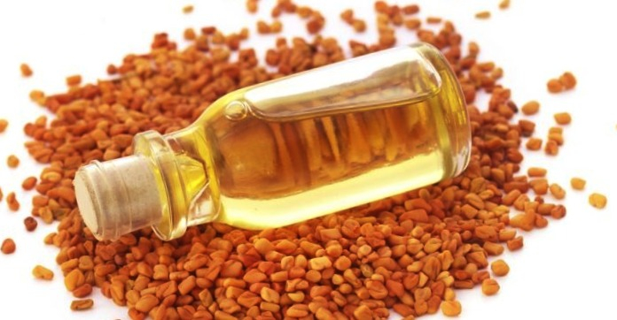 Familiarity with 38 properties and benefits of fenugreek seeds for body health