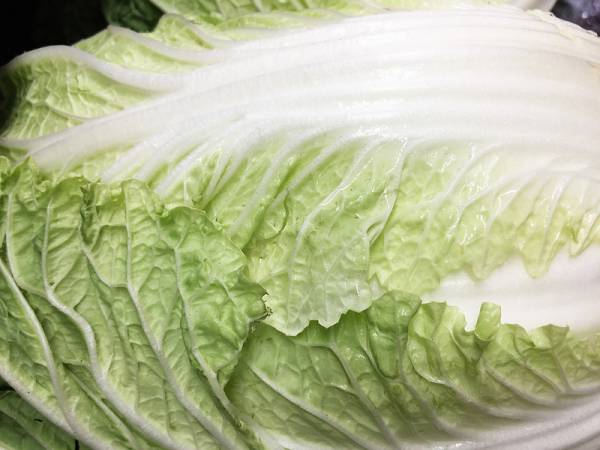 Learn more about the benefits and properties of lettuce