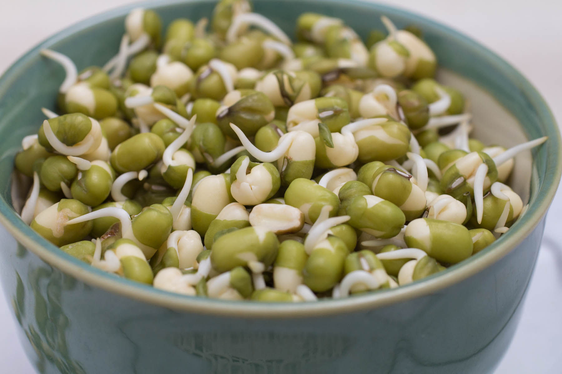 Nutritional value and properties of mung bean sprouts for health and beauty