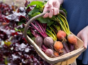 Beets properties and its excellent health and beauty benefits