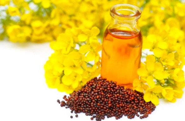 Properties and Benefits of Mustard Oil for Health