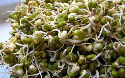 Nutritional value and properties of mung bean sprouts for health and beauty