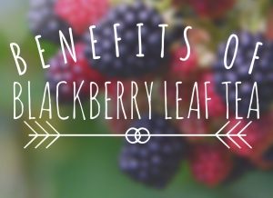 Properties of blackberry leaf and its benefits for beauty
