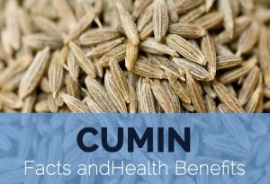 Full acquaintance with the properties and harms of "cumin."