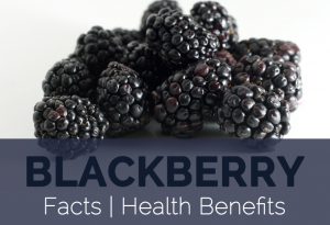 Medicinal properties of blackberry fruit
