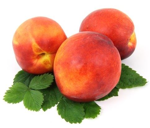 Benefits and therapeutic properties and beauty of nectarine