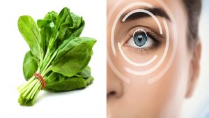 Properties and benefits of spinach for skin, hair and treatment of diseases